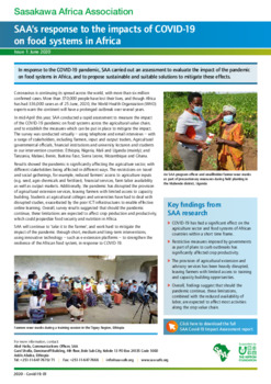 Publications & Reports