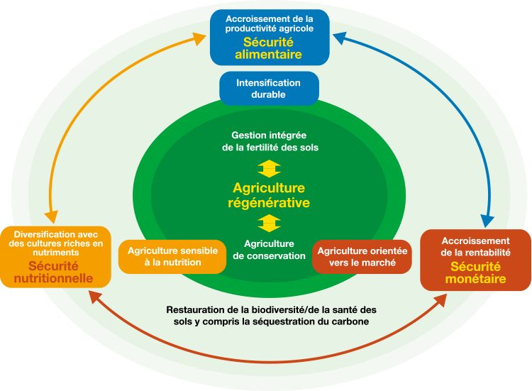 framework