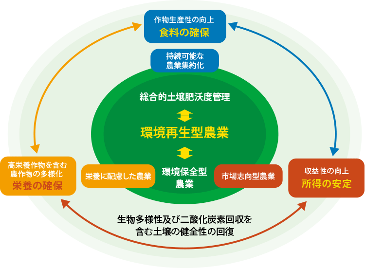 戦略概念図