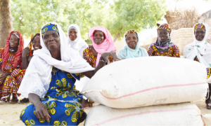 Les Démonstrations Assistées par les Femmes (WAD) sont l’une des plates-formes d’apprentissage paysan (FLP) mises en œuvre dans le cadre des programmes de pays ciblés de la SAA.