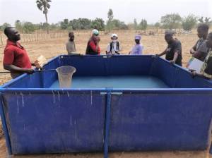 L'aquarium hors sol de Bamba pour la production de poissons