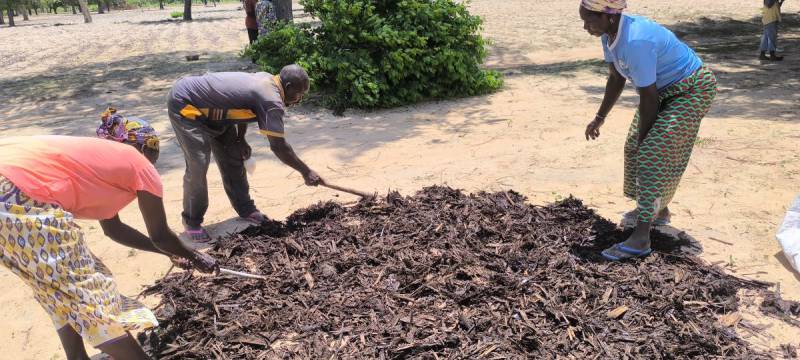 Renforcement des pratiques de compostage pour améliorer la fertilité des sols et les rendements agricoles.