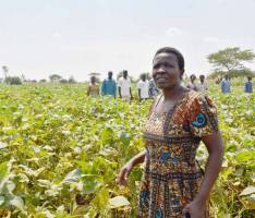 Mrs.Helen Epurege secretary of Nyarakoti Farmer Field School