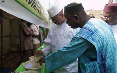 Dr. Sangaré, explaining to the Minister Commissioner for Food Security of Mali, Mr. Oumar Ibrahima Toure, about offers by producers supported by SG2000 Mali