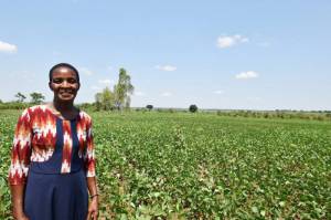 Namutamba Siida, a member of the Bulunguli cooperative in a soybean field