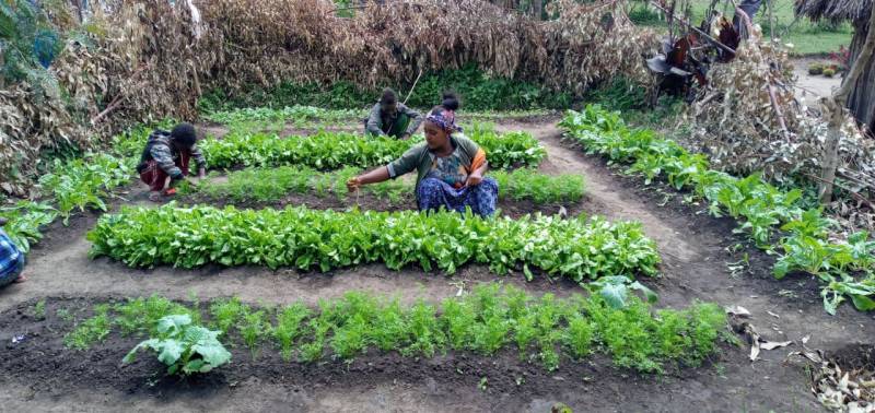 Permagarden host farmer in Oromia Region, Ethiopia