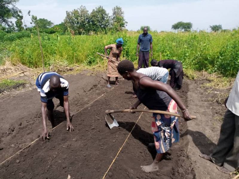 Members of the Tamama farmers group in Ajumani district leveling their nursery bed, Uganda