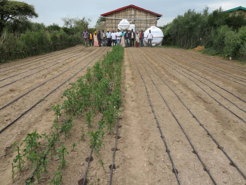 Installing a drip irrigation system