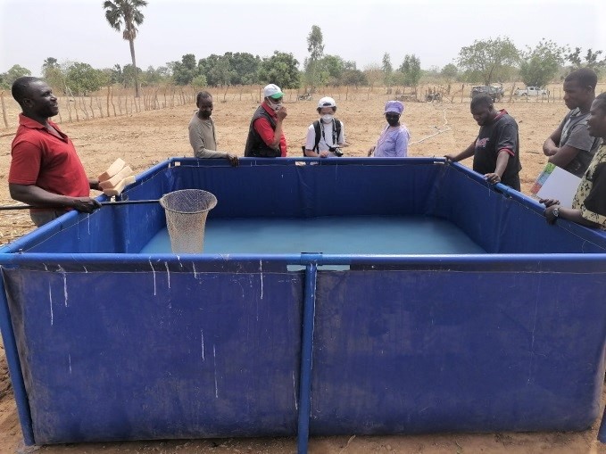 Bamba's above ground aquarium for fish production