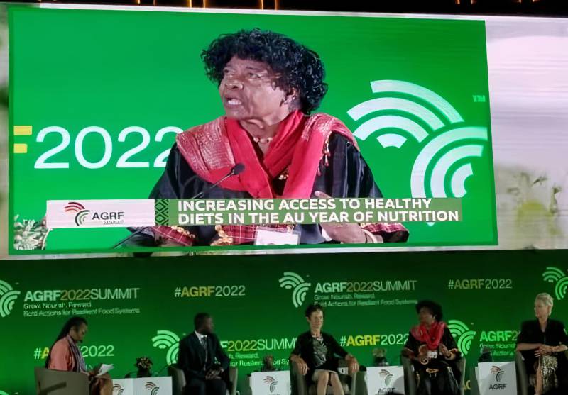 Prof Ruth Oniang’o, SAA Chair, on panel session