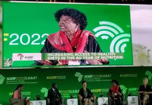 Prof Ruth Oniang’o, SAA Chair, on panel session