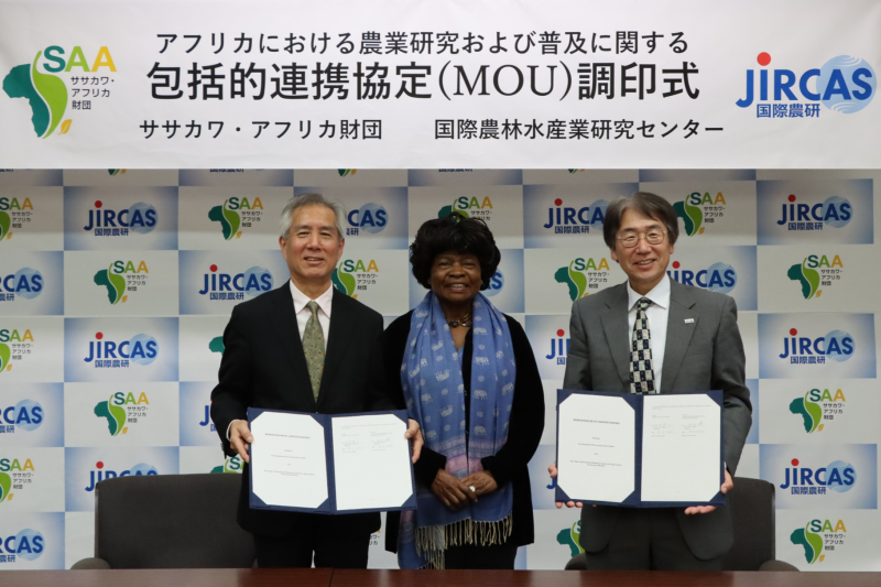 Signing of MOU (right: JIRCAS President Dr. Koyama, left: SAA President Dr. Kitanaka, center: SAA Chair Prof. Ruth Onyango) Place: JIRCAS, Tsukuba