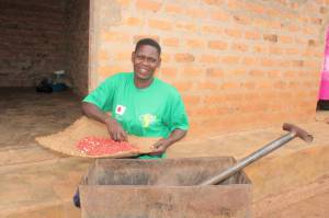 Alum Scovia sorting groundnuts for shelling