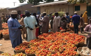 Market research on the outskirts of Abuja