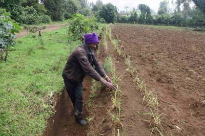 A host farmer in his Soil Bund integrated with forage development in Gemeda Sora