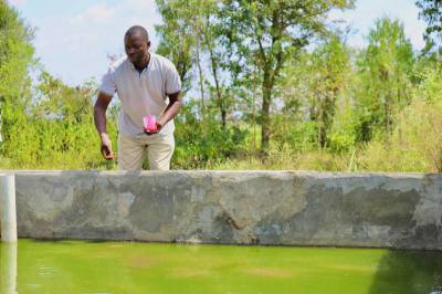 Moses feeding his fish, a daily practice supporting healthy growth and improved yields.
