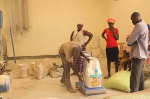 Measuring farmers’ grain deliveries at the OSCA, ensuring quality control, transparency, and fair transactions for every farmer.