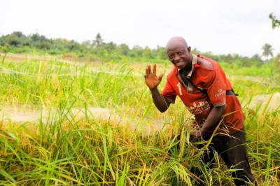 Mr Patrice Hongbete in Tchi Ahomandégbé community now uses less seed and farms less land, but farms it better using SAA climate smart technologies.