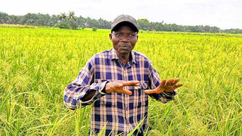 In Koussin Lele community, Mr Ahitchékpon Nestor now produces and applies Urea Super Granules on his rice field to reduce methane emissions while increasing yields.