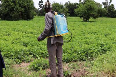 A farmer is seen spraying his field with biopesticide, promoting safer and more sustainable pest control practices.