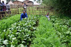 Joint monitoring field visit at permagarden demo in Ana Sora district