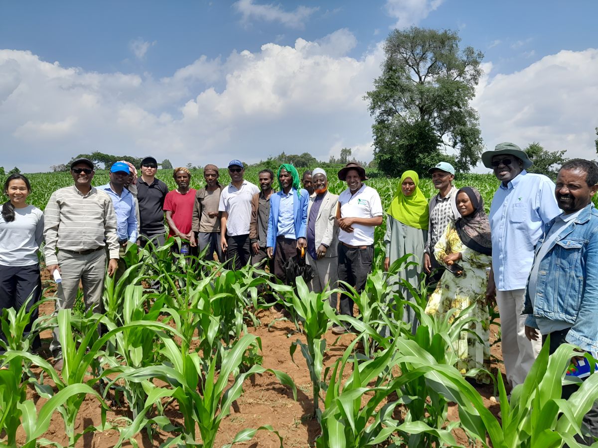 The AfDB delegation, together with farmers, extension agents, and SAA staff, poses for a group photo