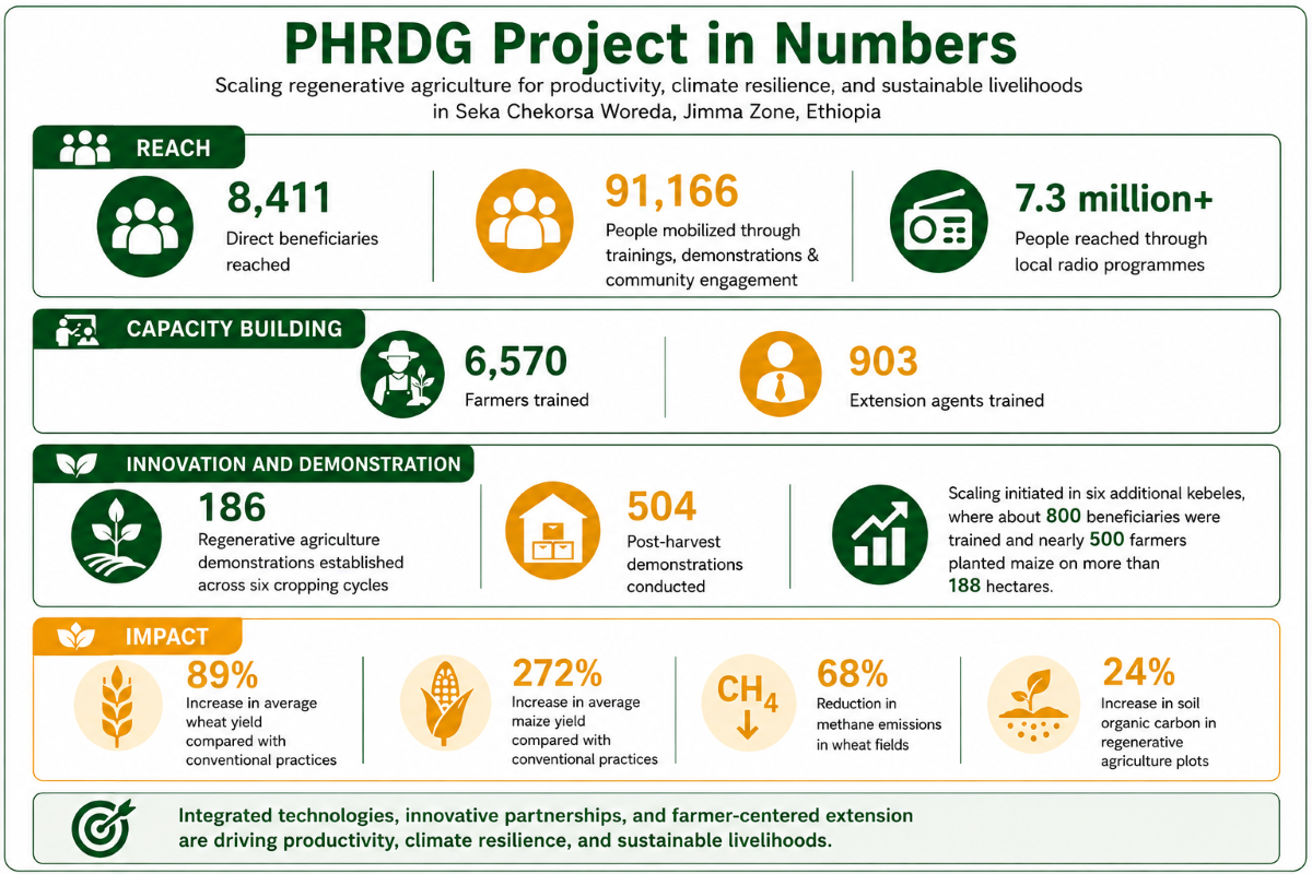 3_PHRDG in Numbers