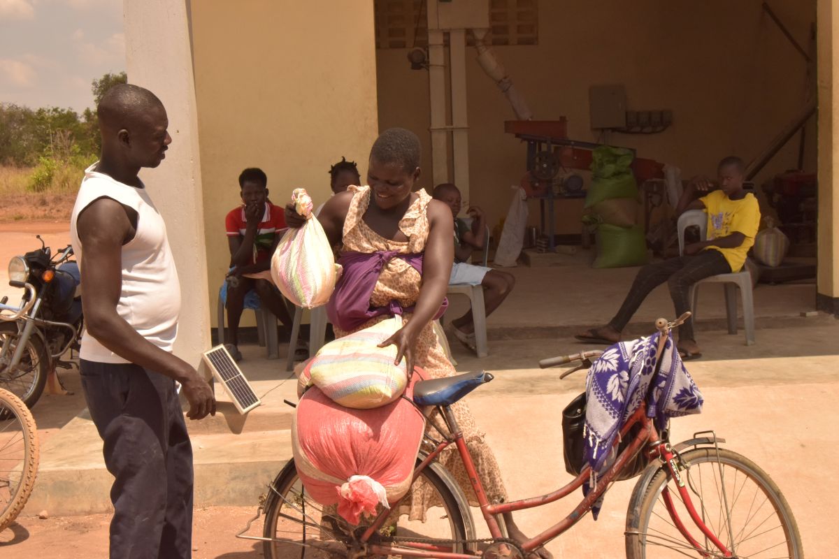 A farmer delivers her produce for  for milling at the Otuke OSCA.