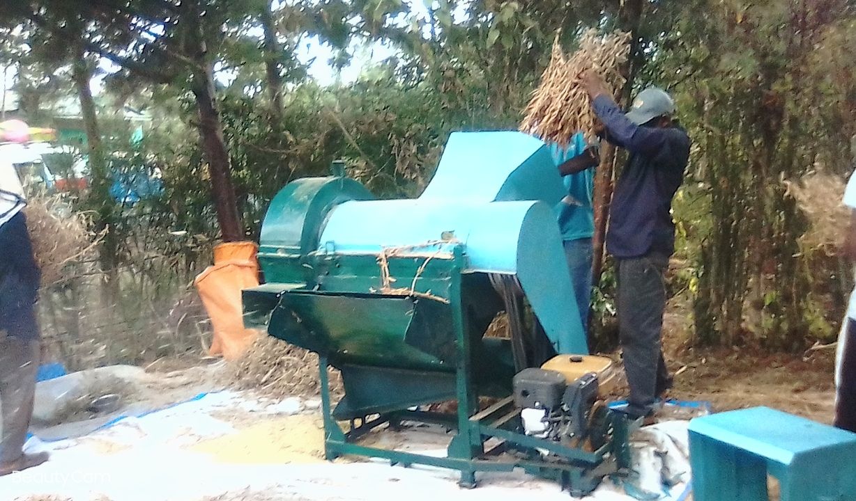 Conducting the soybean thresher demonstrations with the farmers