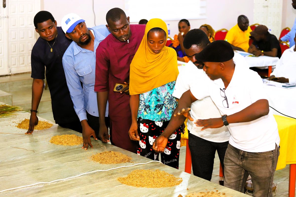 Practical demonstration sessions on biochar and value addition activities during the training in Lafia, Nasarawa State.