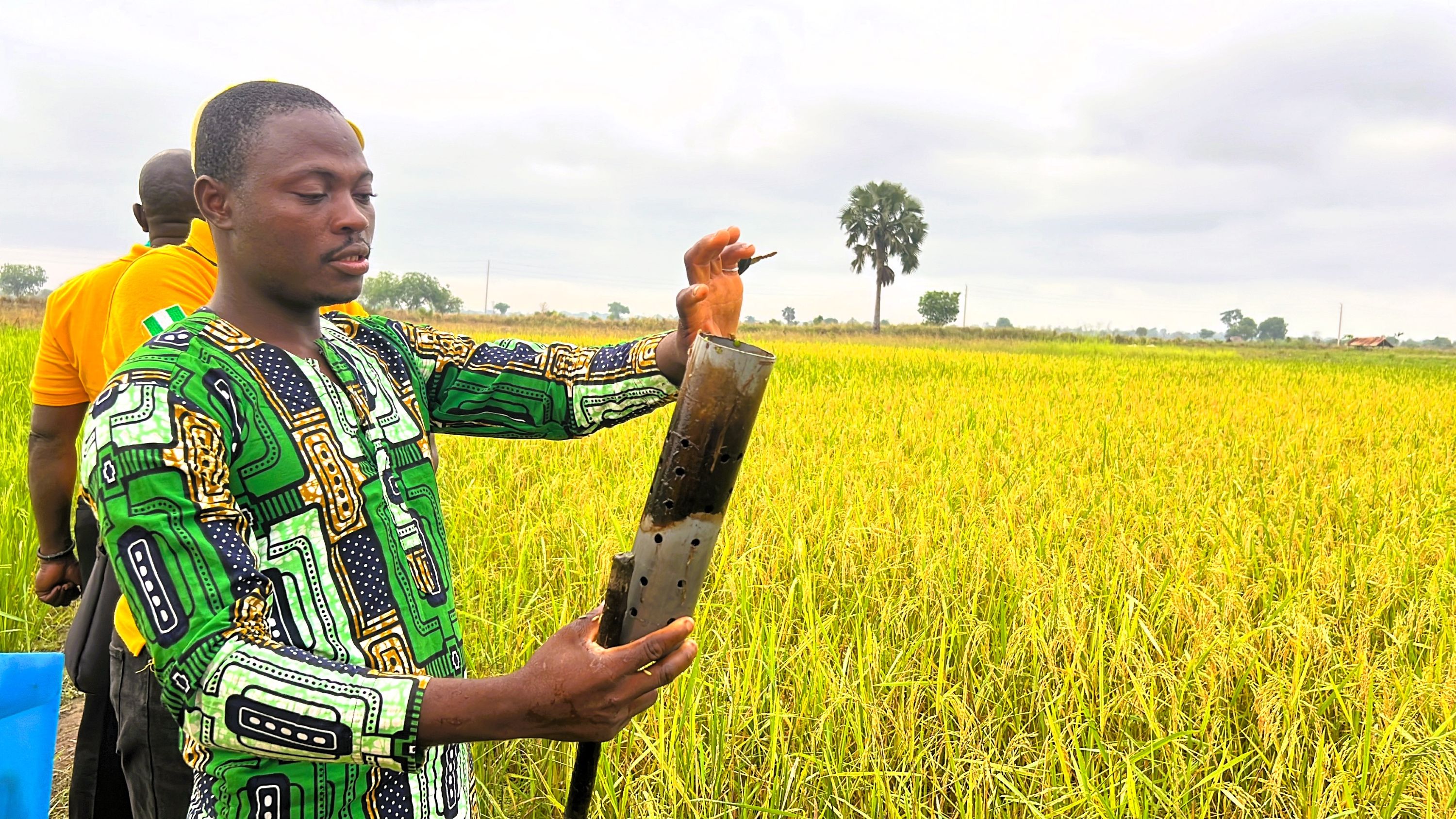 A lead farmer Mr. Dohoue applies water only when needed using SAA’s Alternate Wetting and Drying technology to reducing water waste, preventing crop loss, and lowering methane emissions.