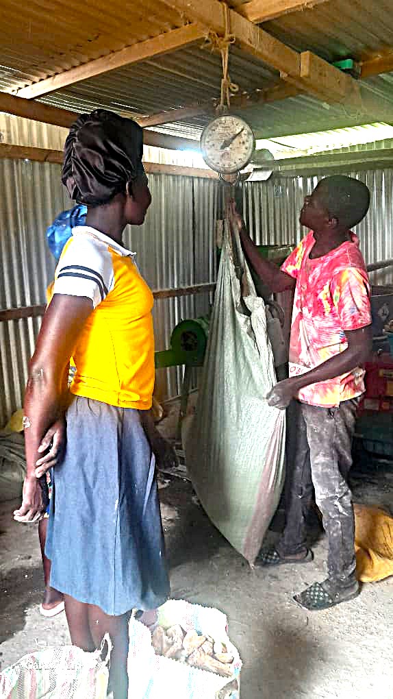 製粉作業を前に農産物を計量する製粉機のオペレーター