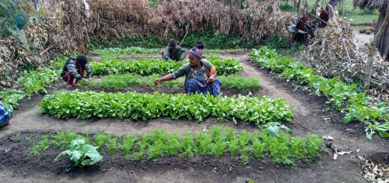 パーマガーデンを自宅に設置した女性農家（エチオピア オロミア州）
