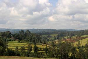 Angacha woredaの農村風景。右手に土壌侵食が確認できる。（2021年10月15日筆者撮影）