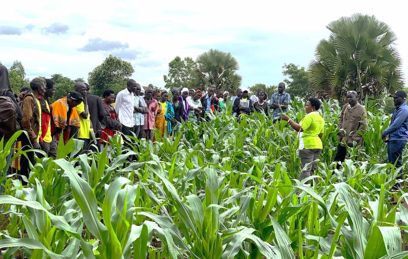 SAAのRAチームが行ったウガンダ・コレ県の現地視察の様子