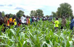 SAAのRAチームが行ったウガンダ・コレ県の現地視察の様子