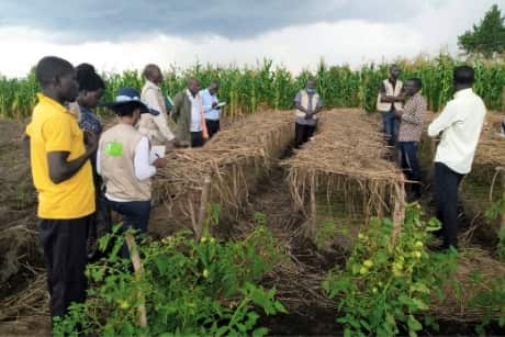 photo Multidimensional agricultural extension to support innovation