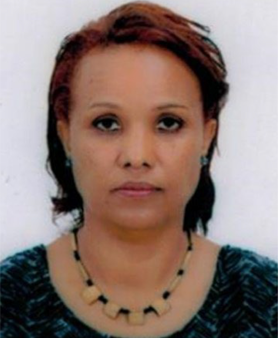 Ms. Yenenesh Egu Bezabih