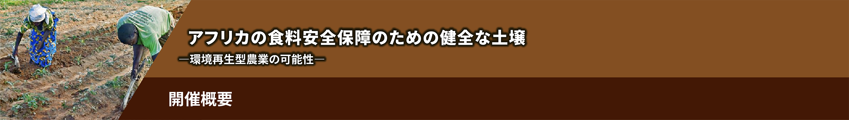 アフリカの食料安全保障のための健全な土壌