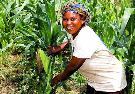 photo Multidimensional agricultural extension to support innovation