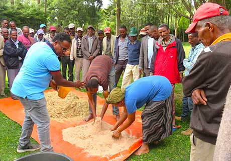 photo Multidimensional agricultural extension to support innovation