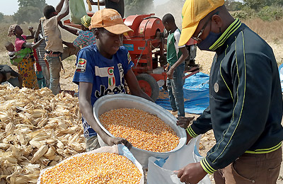 Agriculture orientée vers le marché