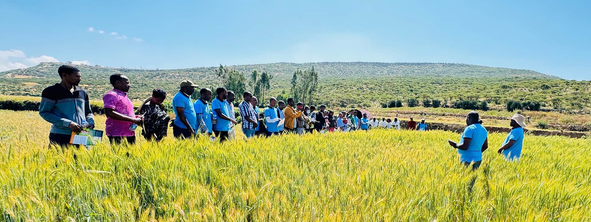 エチオピア | ササカワ・アフリカ財団